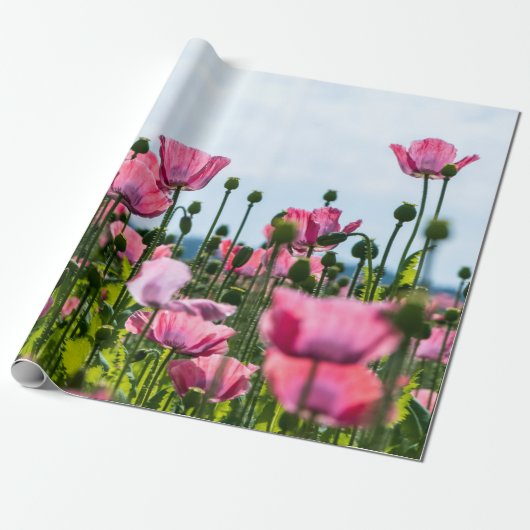 Pink Poppies Geschenkpapier (Ungerollt)