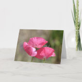 Pink Poppies Karte (Vorderseite)