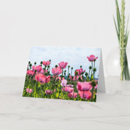 Pink Poppies Karte