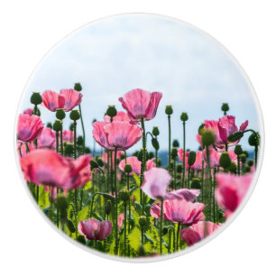 Pink Poppies Keramikknauf