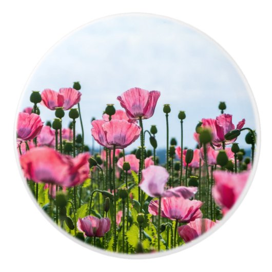Pink Poppies Keramikknauf (Vorderseite)