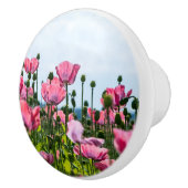 Pink Poppies Keramikknauf (Rechts)