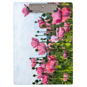 Pink Poppies Klemmbrett