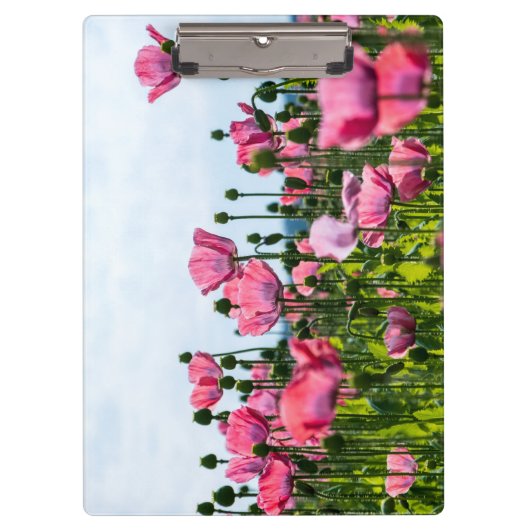Pink Poppies Klemmbrett (Vorderseite)