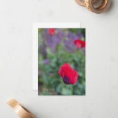 Pink Poppies, Lila Garten Mitteilungskarte (Vorderseite/Rückseite Beispiel)
