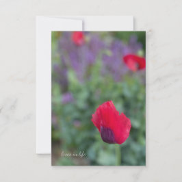 Pink Poppies, Lila Garten Mitteilungskarte