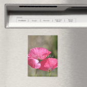 Pink Poppies   Magnet (In Situ (Geschirrspüler))