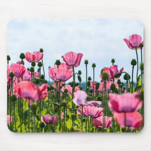 Pink Poppies Mousepad (Vorne)