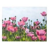 Pink Poppies Notizblock (Vorderseite)