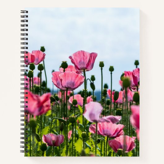 Pink Poppies Notizblock (Vorderseite)