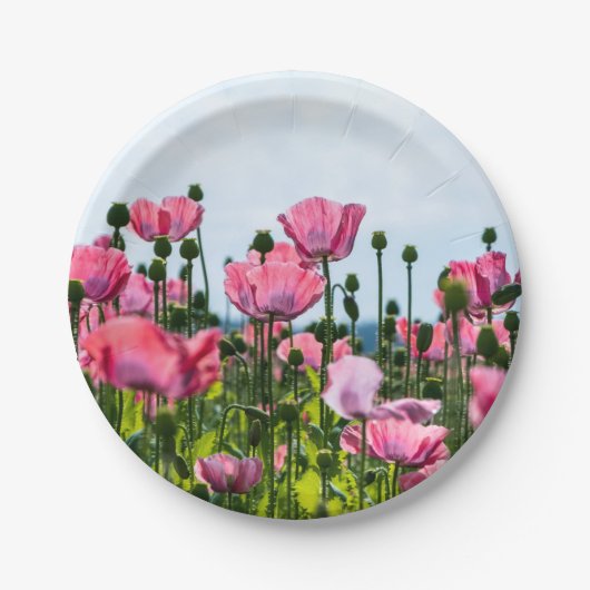 Pink Poppies Pappteller (Vorderseite)