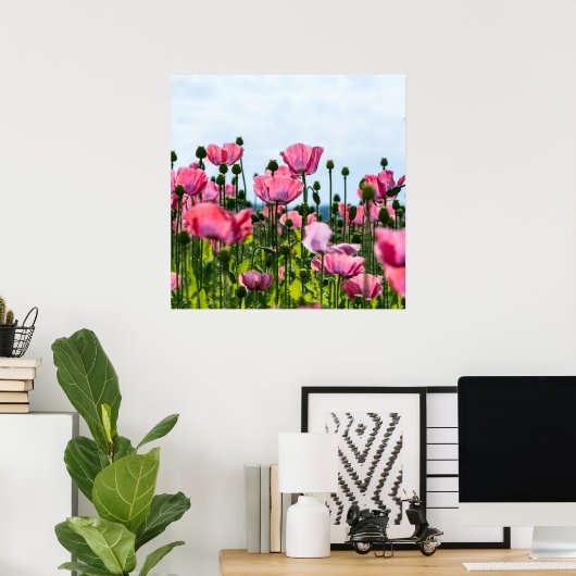 Pink Poppies Poster (Heimbüro)