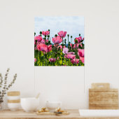 Pink Poppies Poster (Küche)