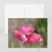 Pink Poppies Postkarte (Vorne/Hinten)