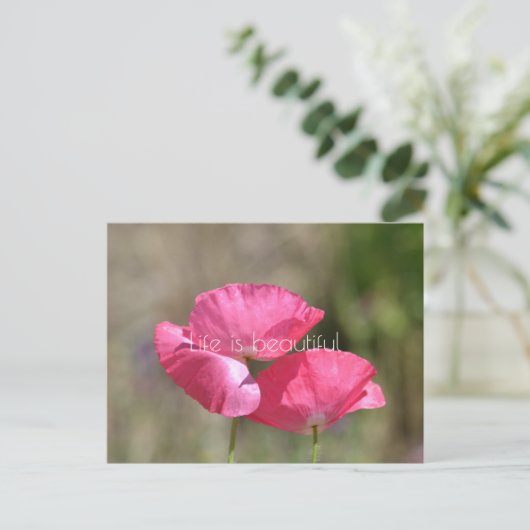 Pink Poppies Postkarte (Stehend Vorderseite)