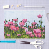 Pink Poppies Seidenpapier (Handwerk)