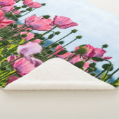 Pink Poppies Sherpadecke (3/4)