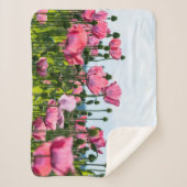 Pink Poppies Sherpadecke (Vorderseite)