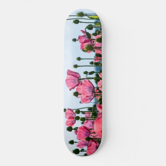Pink Poppies Skateboard (Vorderseite)