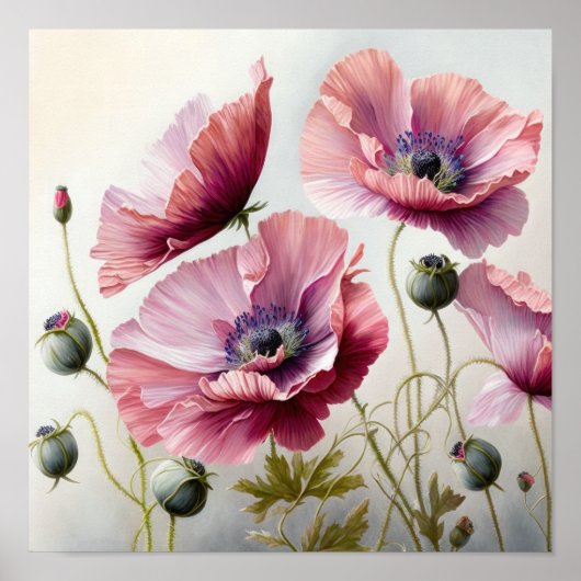 Pink Poppy Blume Art Print Poster (Vorne)