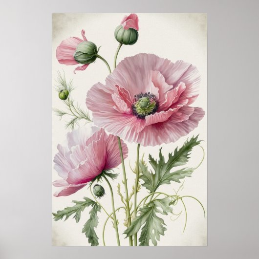 Pink Poppy Blume Art Print Poster (Vorne)