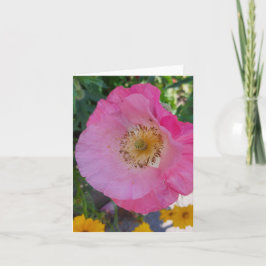 Pink Poppy Blume im Sommer Karte