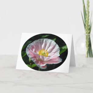 Pink Poppy Blume Karte