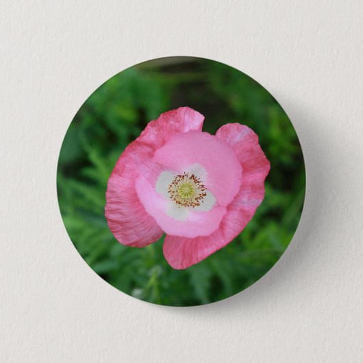 Pink Poppy Button (Vorderseite)
