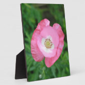 Pink Poppy Fotoplatte (Seite)