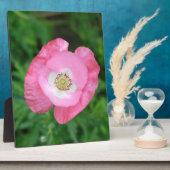 Pink Poppy Fotoplatte (Seite)