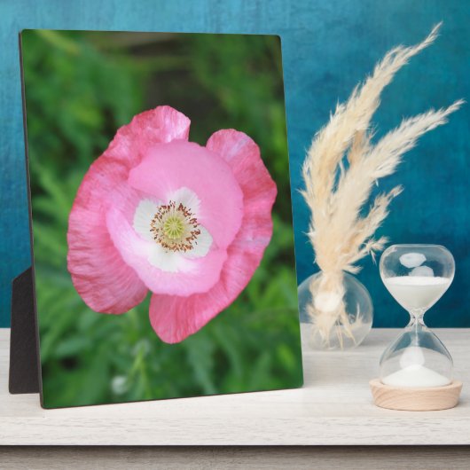 Pink Poppy Fotoplatte (Seite)