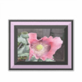 Pink Poppy mit Rand Aufkleber (Vorderseite)