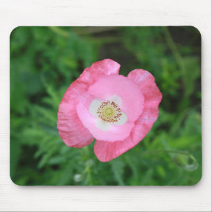 Pink Poppy Mousepad