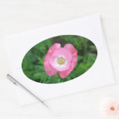 Pink Poppy Ovaler Aufkleber (Umschlag)