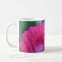 Pink Poppy Petal Upload