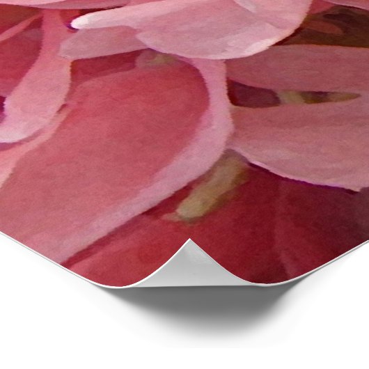 Pink Poppy Petals Poster (Ecke)