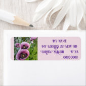 Pink Poppy Poppies Foto Rücksendeadressen-Aufklebe (Insitu)