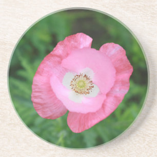 Pink Poppy Sandstein Untersetzer