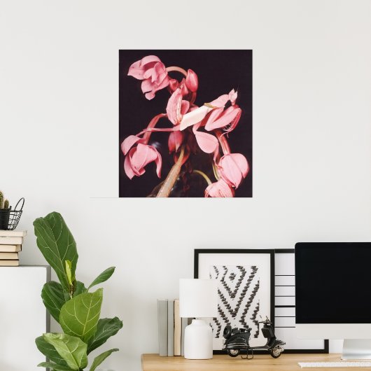 Pink Praying Mantis Camouflage Poster (Heimbüro)