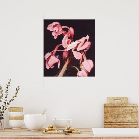 Pink Praying Mantis Camouflage Poster (Küche)