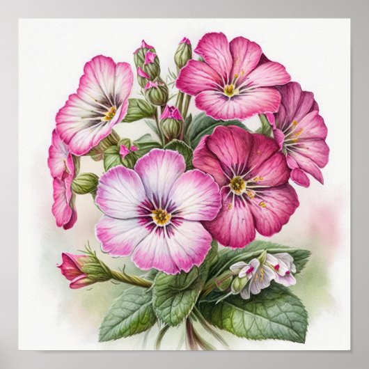 Pink Primrose Blume Art Print Poster (Vorne)