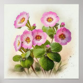 Pink Primrose Blume Art Print Poster (Vorne)
