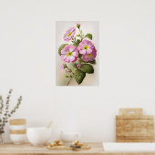 Pink Primrose Blume Art Print Poster (Küche)