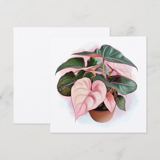 Pink Princess Philodendron Illustration (Vorne/Hinten)