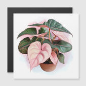 Pink Princess Philodendron Illustration Magnetkarte (Vorne/Hinten)