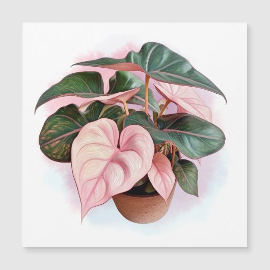 Pink Princess Philodendron Illustration Magnetkarte (Vorderseite)