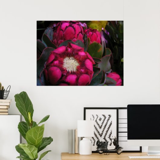 Pink Protea Poster (Heimbüro)