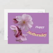 Pink Prunus Blume Glücklich Geburtstag Postkarte (Vorne/Hinten)