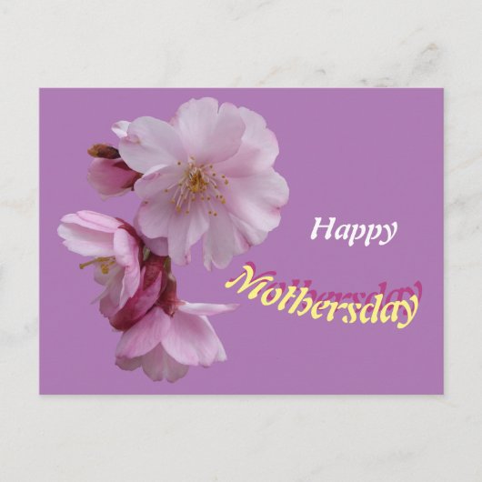 Pink Prunus Blume Glücklich Geburtstag Postkarte (Vorderseite)