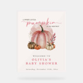 Pink Pumpkin auf ihrem Weg Girl Baby Dusche Willko Acrylschild (Vorderseite)